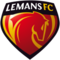 team logo