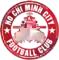 team logo