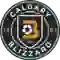 team logo