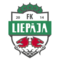 team logo