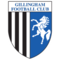 team logo