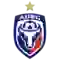 team logo