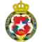 team logo