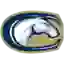 UC Davis Aggies (Women)