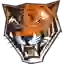 Buffalo Bengals
