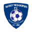 Mighty Wanderers