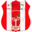 Ethio Electric