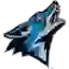 CSUSB Coyotes (Women)