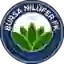 Bursa Nilufer FK