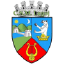 CS Municipal Lugoj