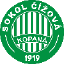 Sokol Cizova