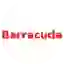 Barracuda