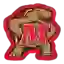 Maryland Terrapins
