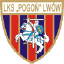 Погонь Львов