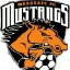 Musgrave Mustangs