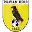 Preilu BJSS