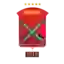Быхов