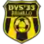 DVS '33 Ermelo