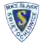 Slask Swietochlowice