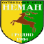 Neman U19