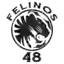 Фелинос 48