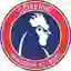 Dorking Wanderers FC Ladies (Women)