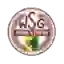 WSG Radenthein