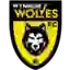 Wynnum Wolves FC U23