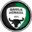 Nomads FC