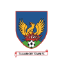 Тулламор Таун