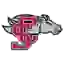 Santa Clara Broncos
