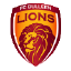 Bulleen Lions U20