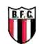 Botafogo Ribeirao Preto II