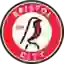 Bristol City