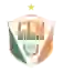 Naviraiense MS