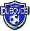 Tj Solvan Dubovce