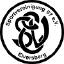 Elversberg U19