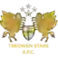 Treowen Stars