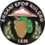 Erganispor