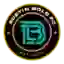 Austin Bold FC