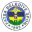 Fatsa Belediyespor