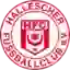 Hallescher U19