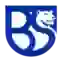 Union Brescia