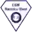 CSM Ramnicu Sarat