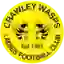 Crawley Wasps LFC (Women)