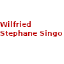 Wilfried Stephane Singo