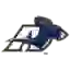 Akron Zips