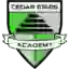 Cedar Stars Rush