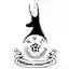 AFC Telford United Ladies (Women)