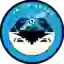 Tampico Madero